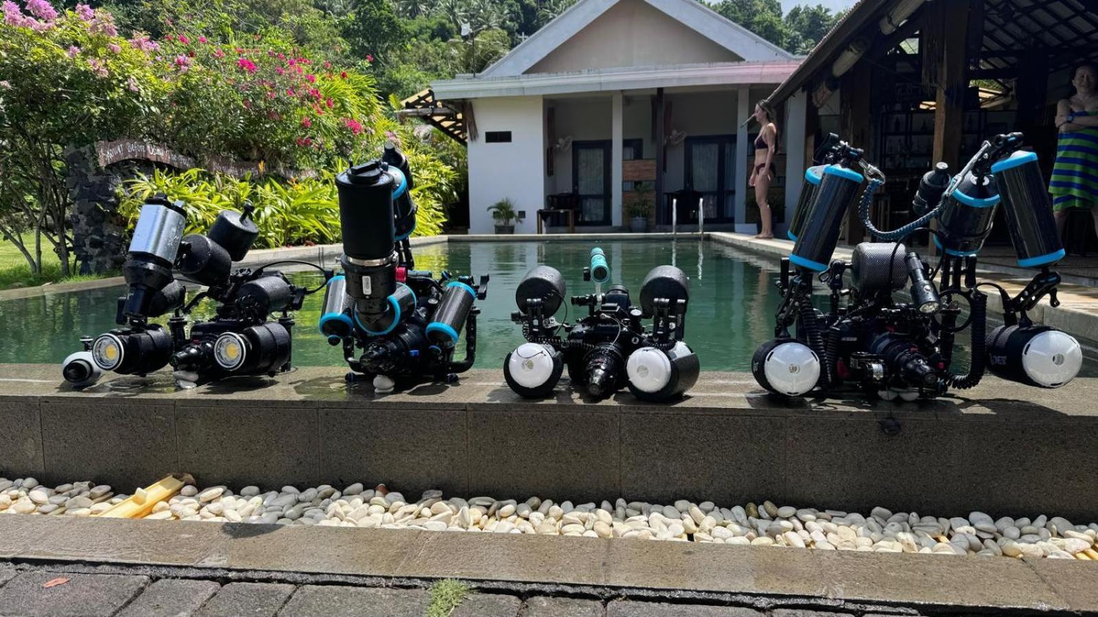 Cocotinos Lembeh A Boutique Dive Lodge