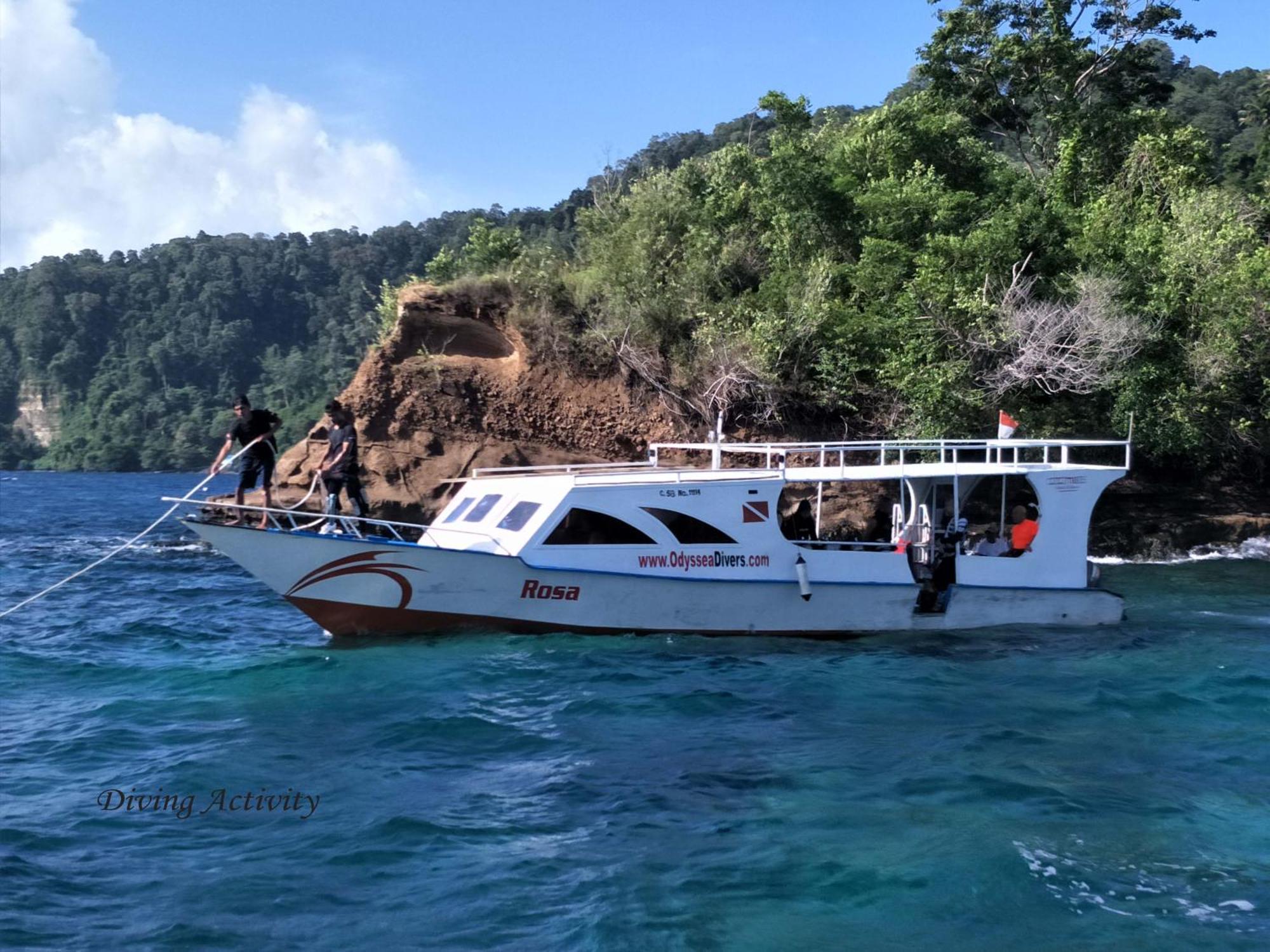 Cocotinos Lembeh A Boutique Dive Lodge